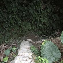 糸洲の壕、通路。