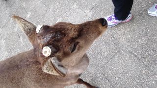 ゴミ箱が少ない