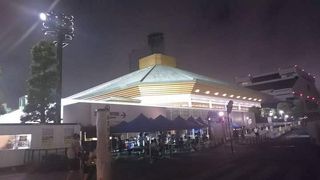 相撲だけでなくプロレスも