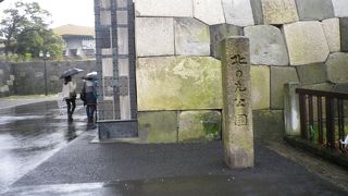 今年の桜も見事でした。