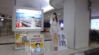 飛行機から桜島