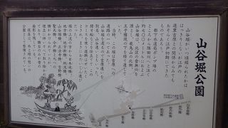 スカイツリーがよく見えます