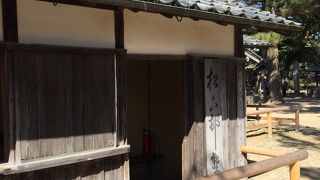 一番の撮影スポットに邪魔な写真屋が陣取ってる