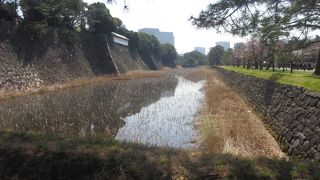 乾通り一般公開の際に行けば、蓮池濠の西側を歩くことができます