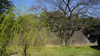 立派な石垣の方に目が奪われるので