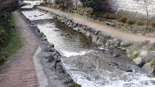 気持ちの良い散歩道