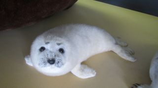 休憩所として重宝