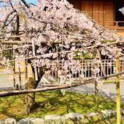 京都駅近くの落ち着いた庭園