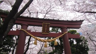 京急蒲田駅前で桜がきれい