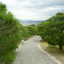 離宮間を結ぶ松並木｢御馬車道｣