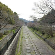 もう少しで桜の時期です