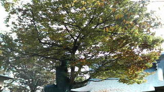 七五三の時期も結構な賑わいでした