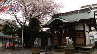 大きな桜に抱かれた神社