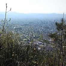 山頂からの眺め