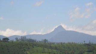 スリランカ随一の聖山をヌワラ・エリアを観光途中に仰ぎ見ることが出来ました。