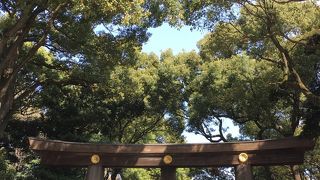 凛と張り詰めた空気。