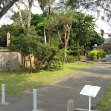 左が萬魂之塔、右奥が白梅の塔