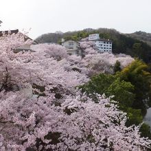 開運橋から見た風景です。