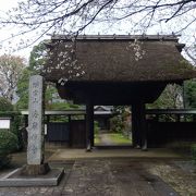 素晴らしい山門のお寺です