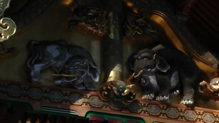 見たことのない象