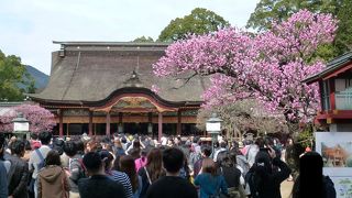 曲水の宴が執り行われています！