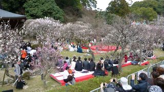 曲水の宴のメイン会場です！