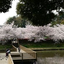 駅近くの公園。多くの家族連れでにぎわっていました。