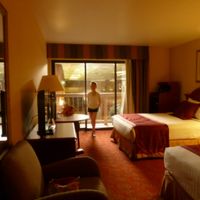 これが超高湿度の部屋です。窓の外は室内プールのあるロビーです