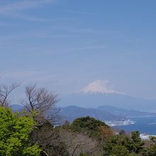 富士山を望む
