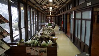 遠慮せずにもっとどんどん行けばいいと思います