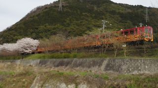 桜のお花見シーズンは特に最高！