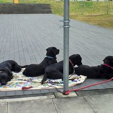 待機するもの大事な訓練。