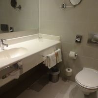 日本航空は飛行機でもウシュレットが有るのに