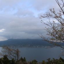 開花状況もいま一つ