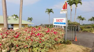 レンタカーがあり、コーヒー好きなら是非訪れてください