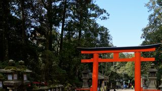 朱色の美しい鳥居