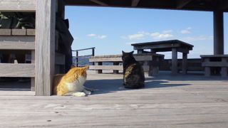 遊歩道のある公園