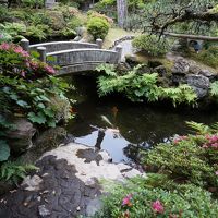 広くて手入れの行き届いた日本庭園