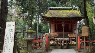 一つだけ願いを叶えてくださる