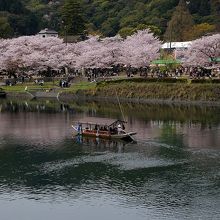 観光遊覧船が錦川を行き交っていました。