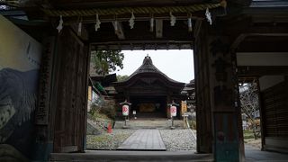 門よりも奥に見える大きな書院の玄関の方が気になります