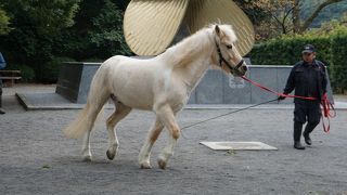 しばらく見とれてしまいました