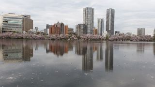 都会のオアシス