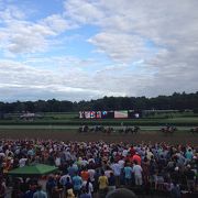 アメリカで最も古い競馬場