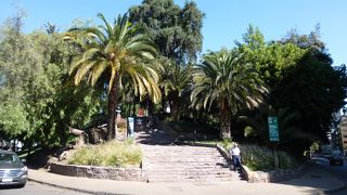 小さな丘で歩いて周れます