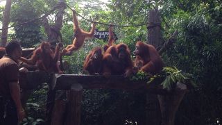 動物園の名物レストラン
