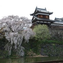 近鉄電車から見える景色