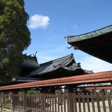 柳沢神社