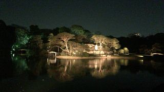 こちらは穏やかです