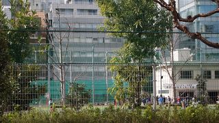 子供達の元気な声が聞こえます